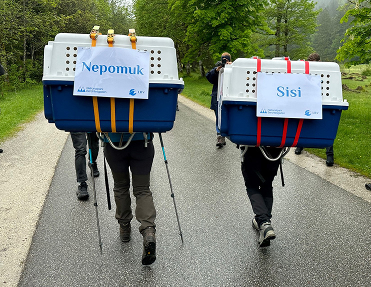 Sisi und Nepomuk auf dem Weg - © NPV BGD