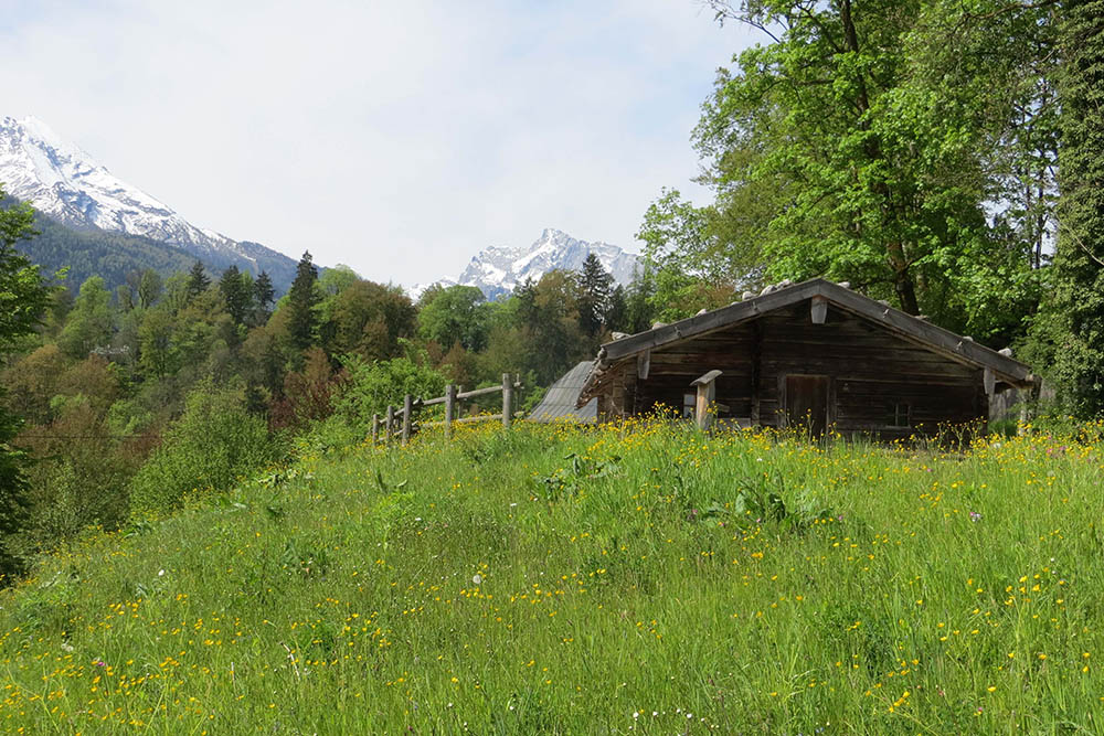 Almkaser outdoor area house of mountains