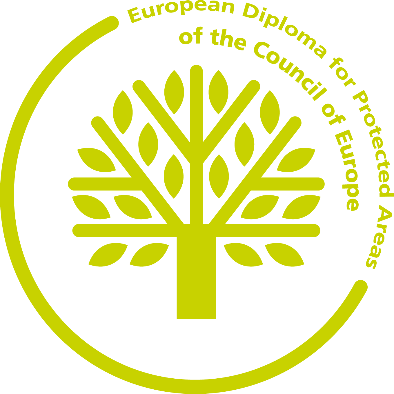 Logo European Diploma