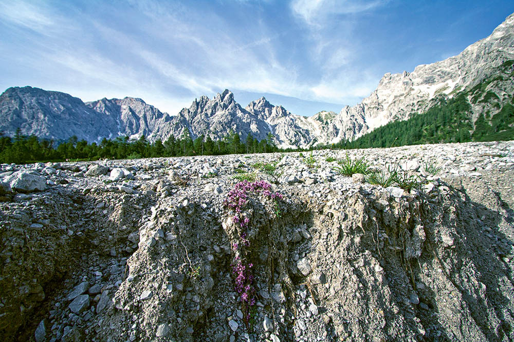 Geologische Exkursion ins Wimbachtal