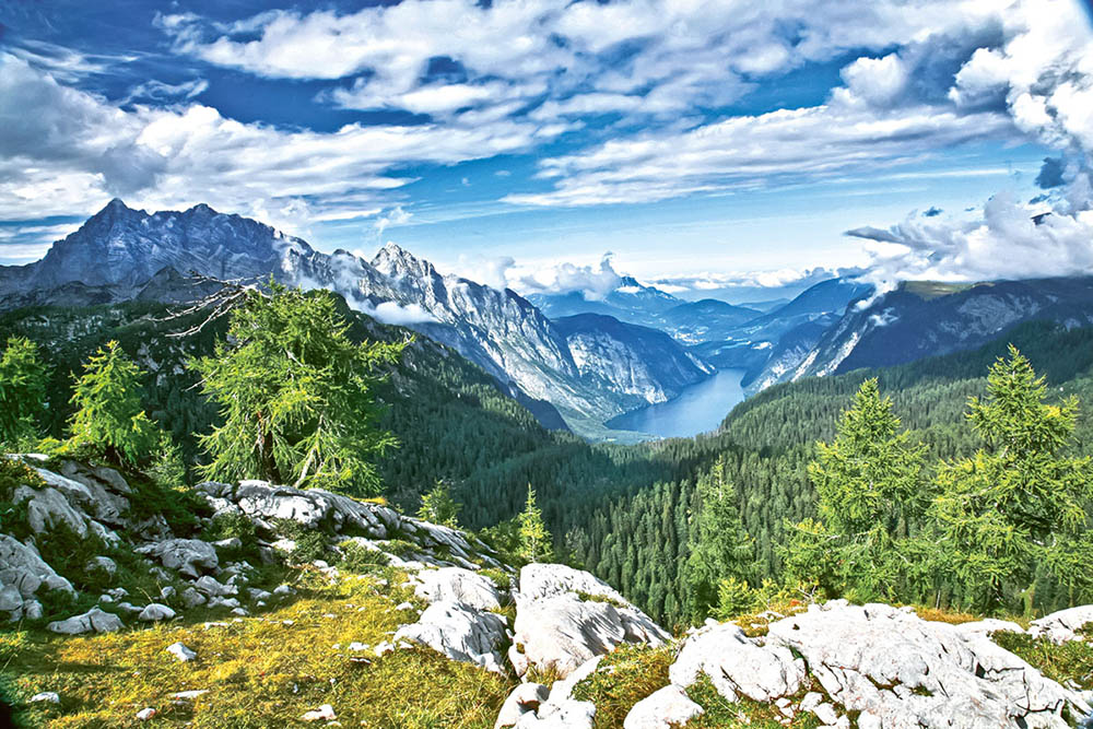 Natur Natur sein lassen