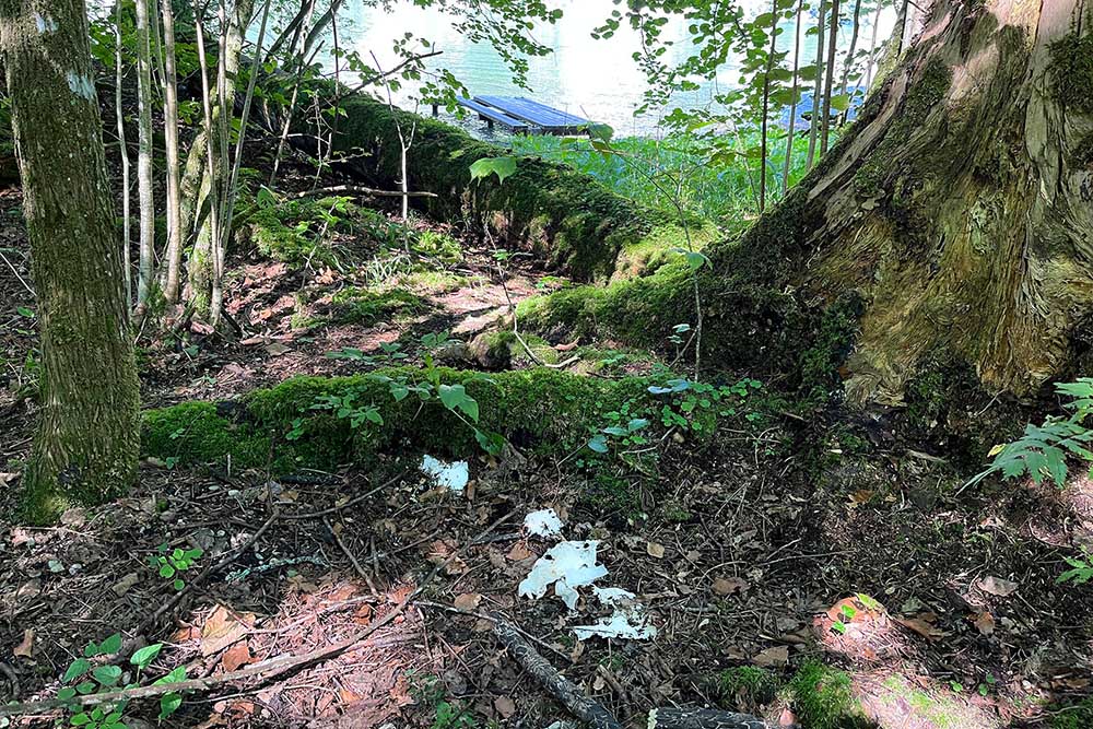 Toilettengang im Nationalpark Berchtesgaden