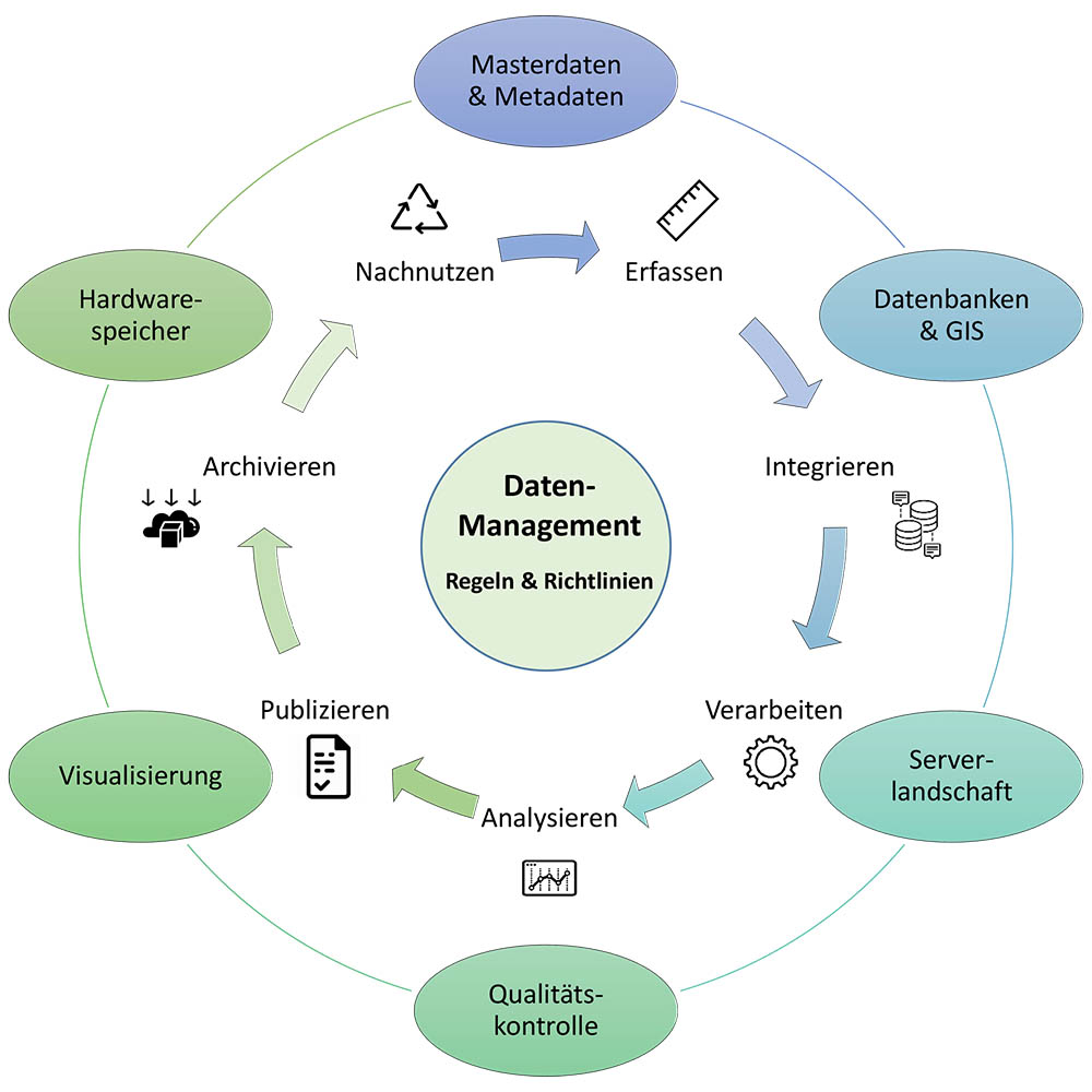 Das Datenmanagement ist wie eine Drehscheibe, die Daten sammelt, analysiert, aufbereitet und wieder ausgibt. Spezifische Werkzeuge, Regeln und Richtlinien sind wichtige Elemente.