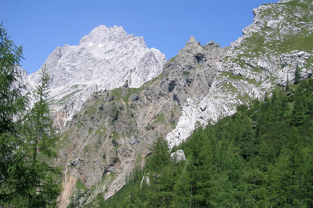 Die Lebensräume und Landschaften sind das Zuhause der Arten. Die Daten zur Landbedeckung (Wald, Offenland, Fels) kommen häufig aus der Fernerkundung z.B. aus Luftbildern oder Satellitenbildern.