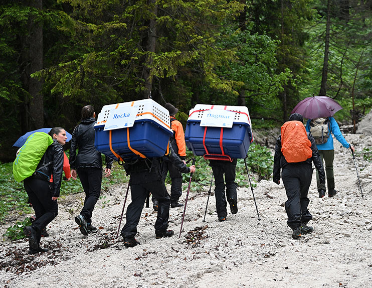 In der Halsgrube beginnt der alpine Teil des Anstieges - © Hansruedi Weyrich (weyrichfoto.ch)