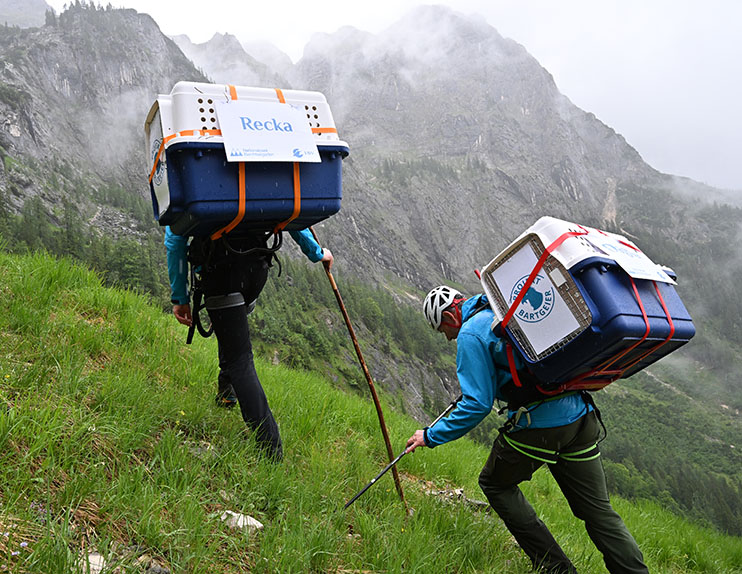 Ascent through alpine terrain in continuous rain - © Hansruedi Weyrich (weyrichfoto.ch)