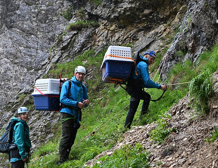 Recka and Dagmar shortly before their arrival - © Hansruedi Weyrich (weyrichfoto.ch)