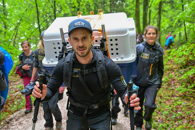 National park ranger Sebastian Graßl carries Nepomuk - © Hansruedi Weyrich (weyrichfoto.ch)