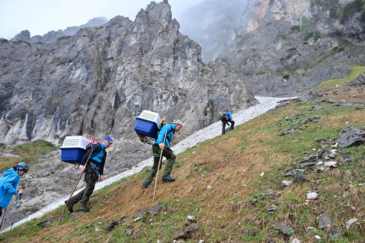 On the last meters Professional hunter Christian Willeitner (r.) and Christian Kranawetvogl (l.) - © Hansruedi Weyrich (weyrichfoto.ch)