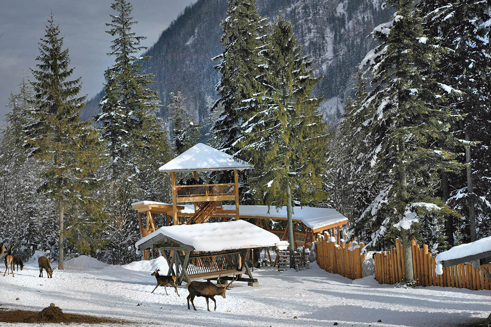 National Park Facilities Game Feeding