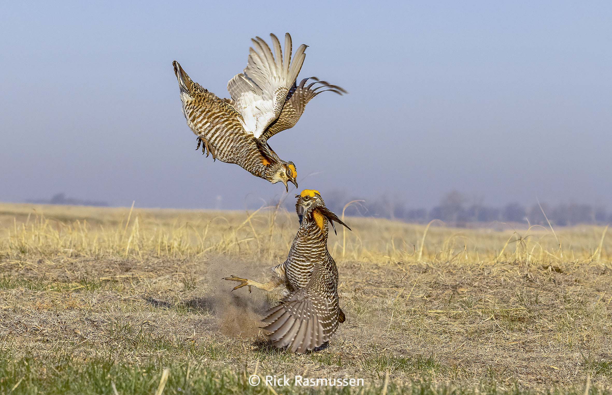 Nationalpark-Wechselausstellung, Foto: © Rick Rasmussen