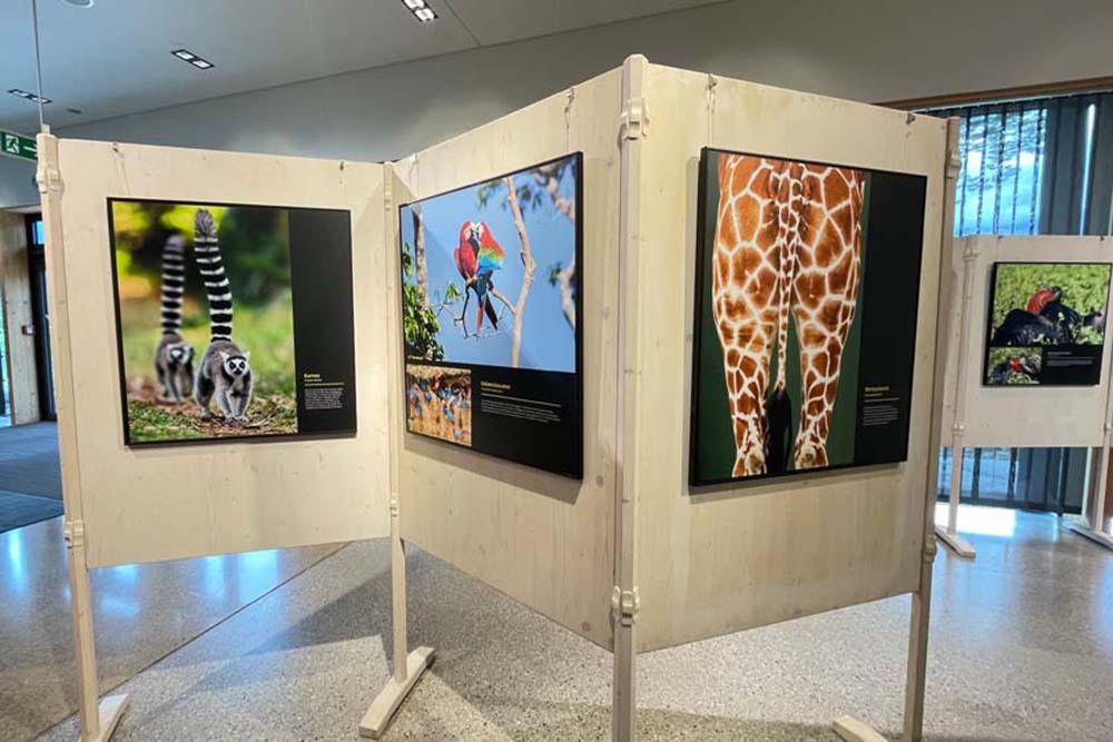 Wechselausstellung