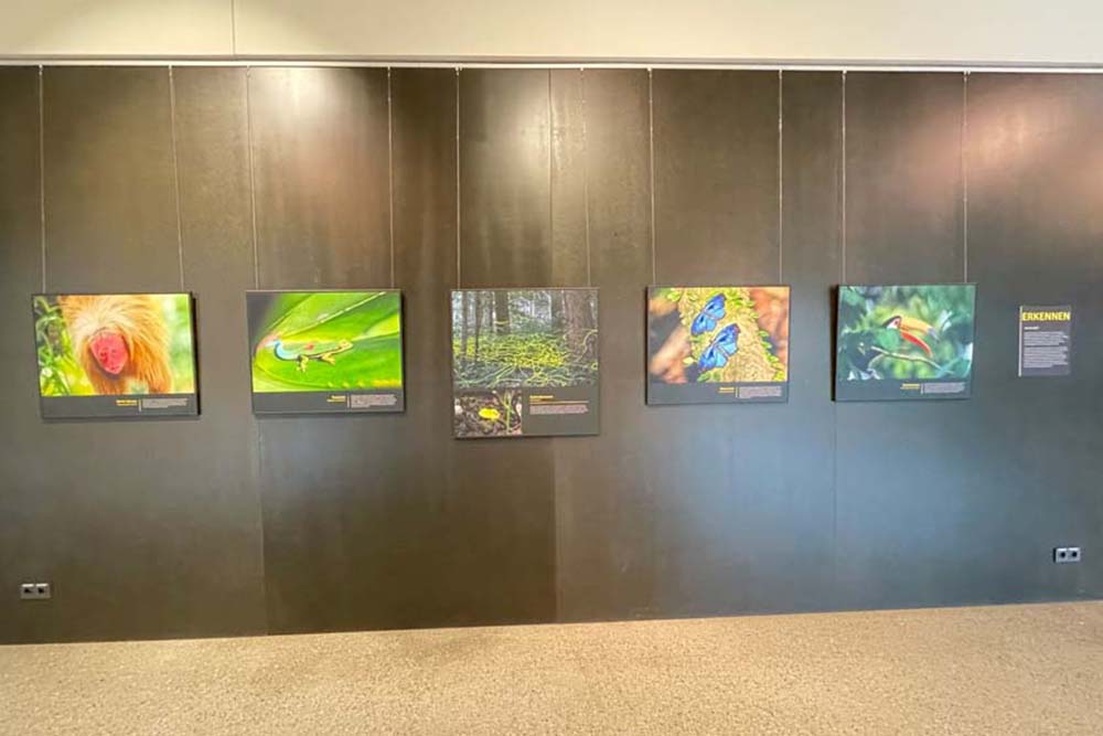 Wechselausstellung