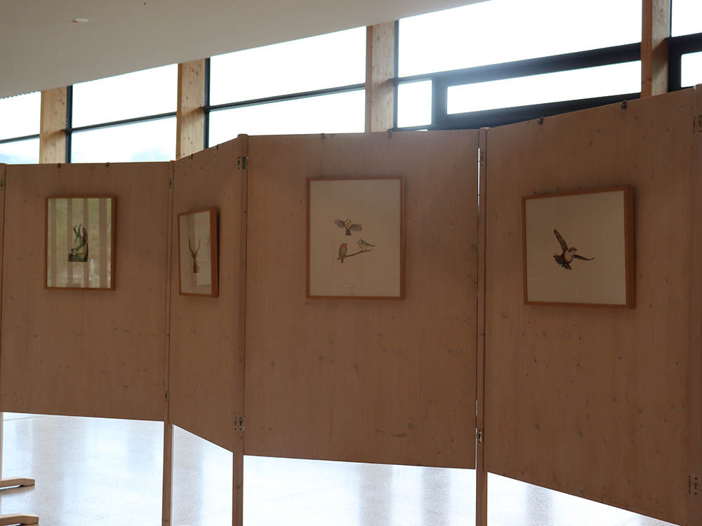 Wechselausstellung