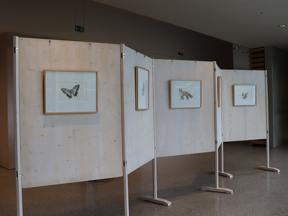 Wechselausstellung