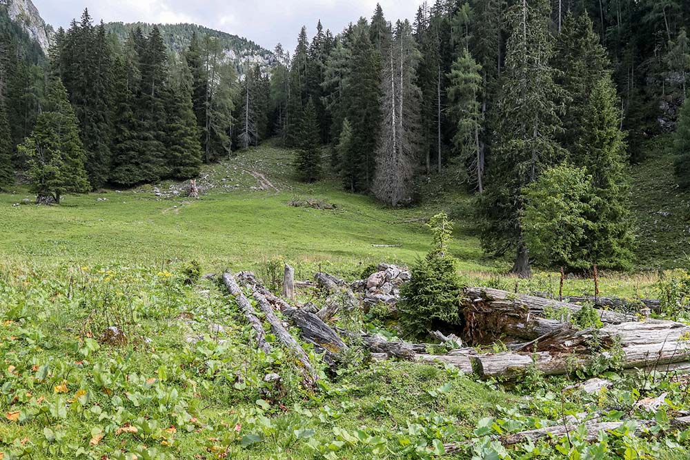 Comparison shot - Seeau-Alm