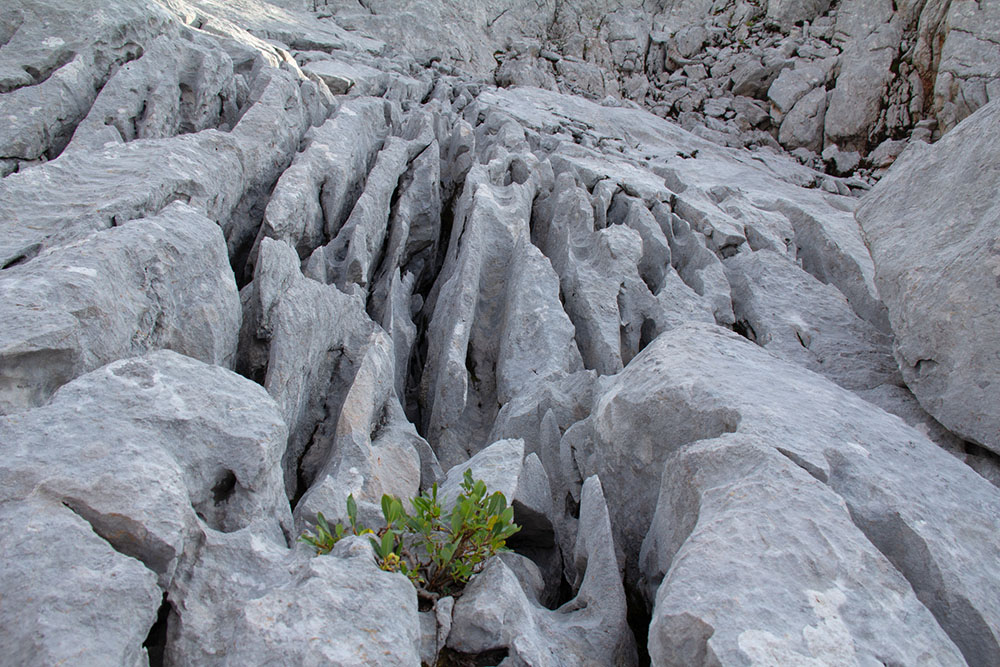 Karst formation