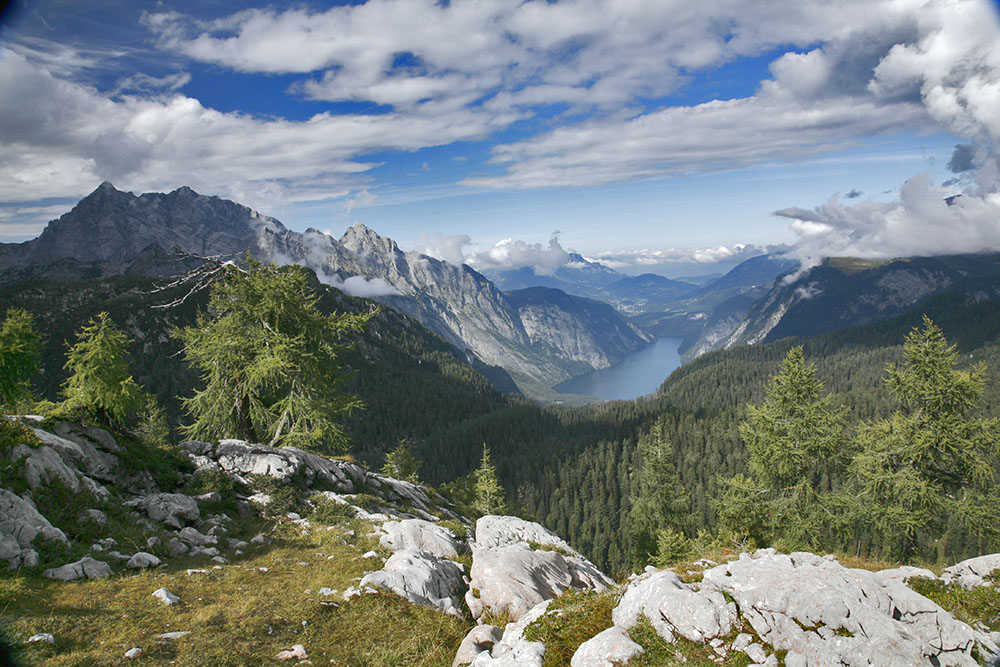 Blick auf Königssee