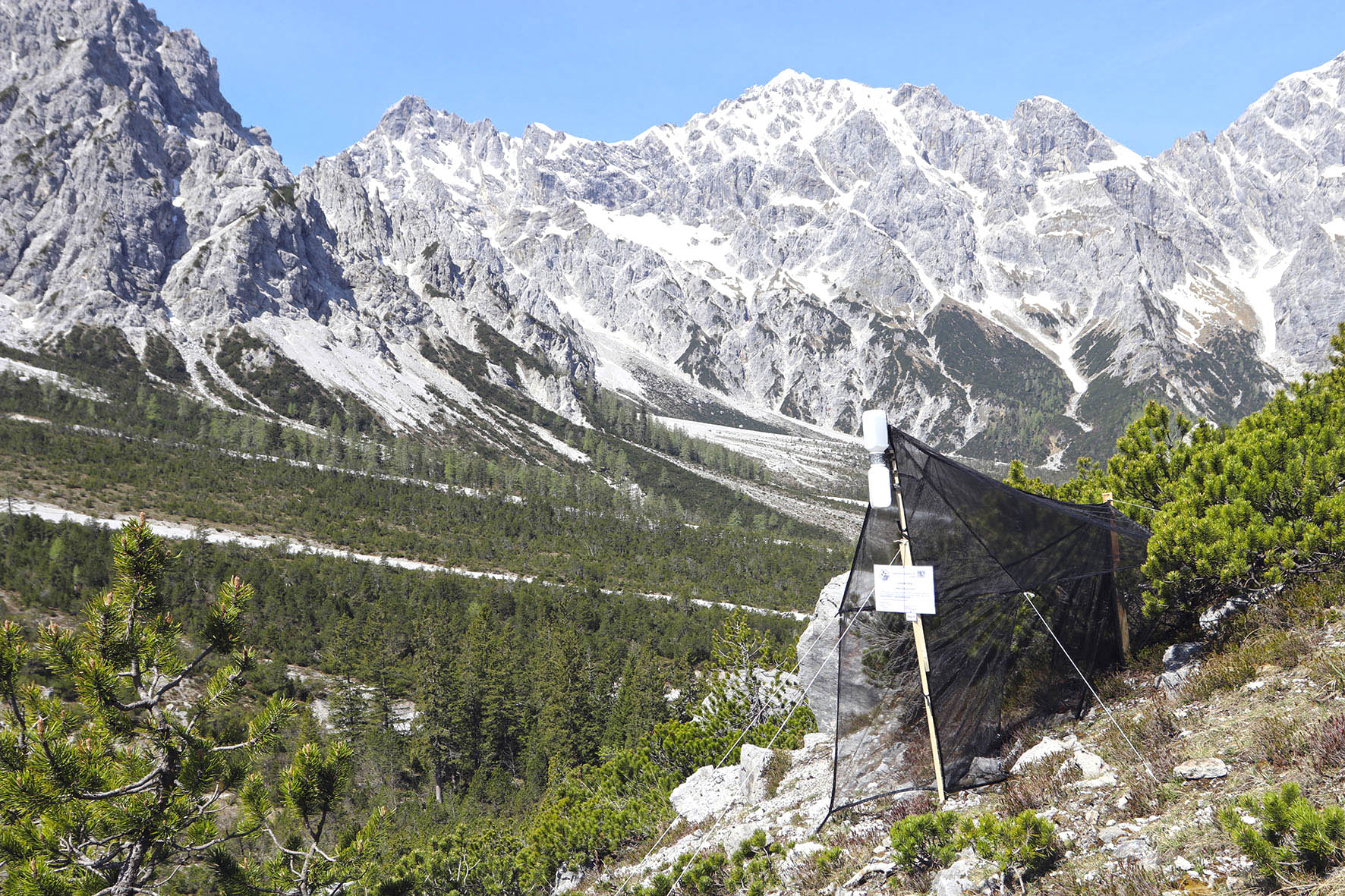 Pressebild: Forscher erheben derzeit auf 215 ausgewählten Flächen die Biodiversität des Nationalparks Berchtesgaden. So genannte «Malaise-Fallen» dienen der Erfassung der Insektenvielfalt.