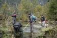 Seit 2018 werden im Saletbach zwischen Obersee und Königssee im Nationalpark Berchtesgaden jedes Jahr bis zu 15.000 junge Seeforellen ausgesetzt. Nationalpark-Ranger Klaus Melde (r.), Dr. Bernhard Gum (l.) und Dr. Leonhard Egg (2.v.r.) von der Fachberatung für Fischerei des Bezirks Oberbayern und Königssee-Fischer Thomas Amort (vorne) kontrollierten kürzlich bei einer Befischung den bisherigen Erfolg des Wiederansiedlungsprojekts.