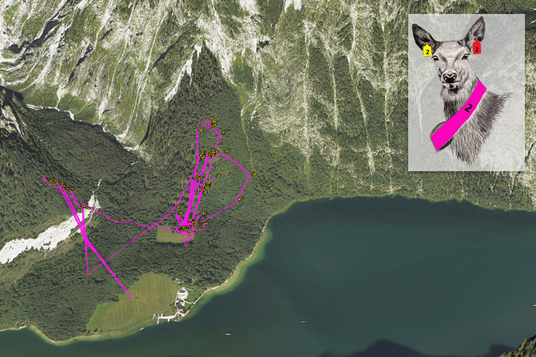 Pressebild: Karte GPS-Daten