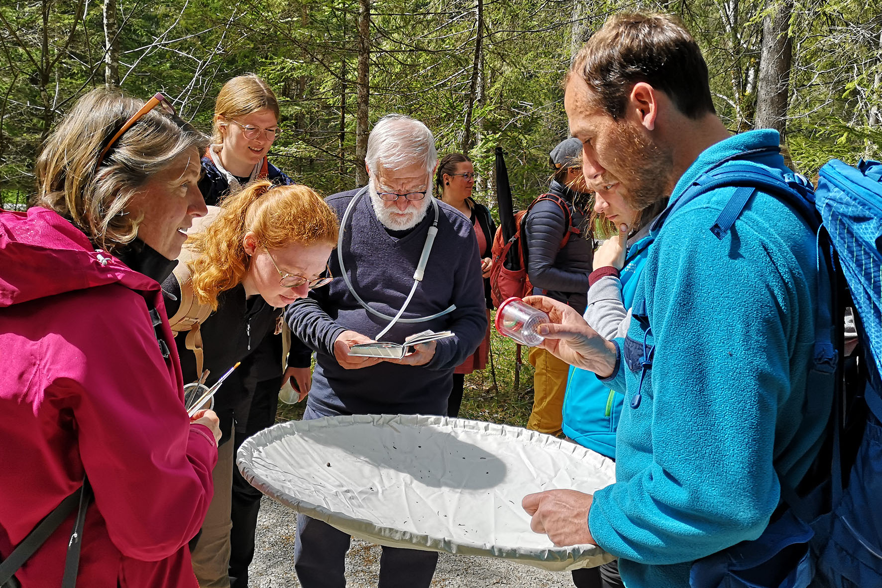 Pressebild: Die traditionelle Fortbildung der Wanderführerinnen und Wanderführer im Nationalpark Berchtesgaden stand in diesem Jahr unter dem Motto „Insekten – unbekannte Vielfalt“. Nationalpark-Co-Forschungsleiter Dr. Sebastian Seibold (r.) zeigte den Teilnehmenden, wie man Insekten richtig fängt und bestimmt.