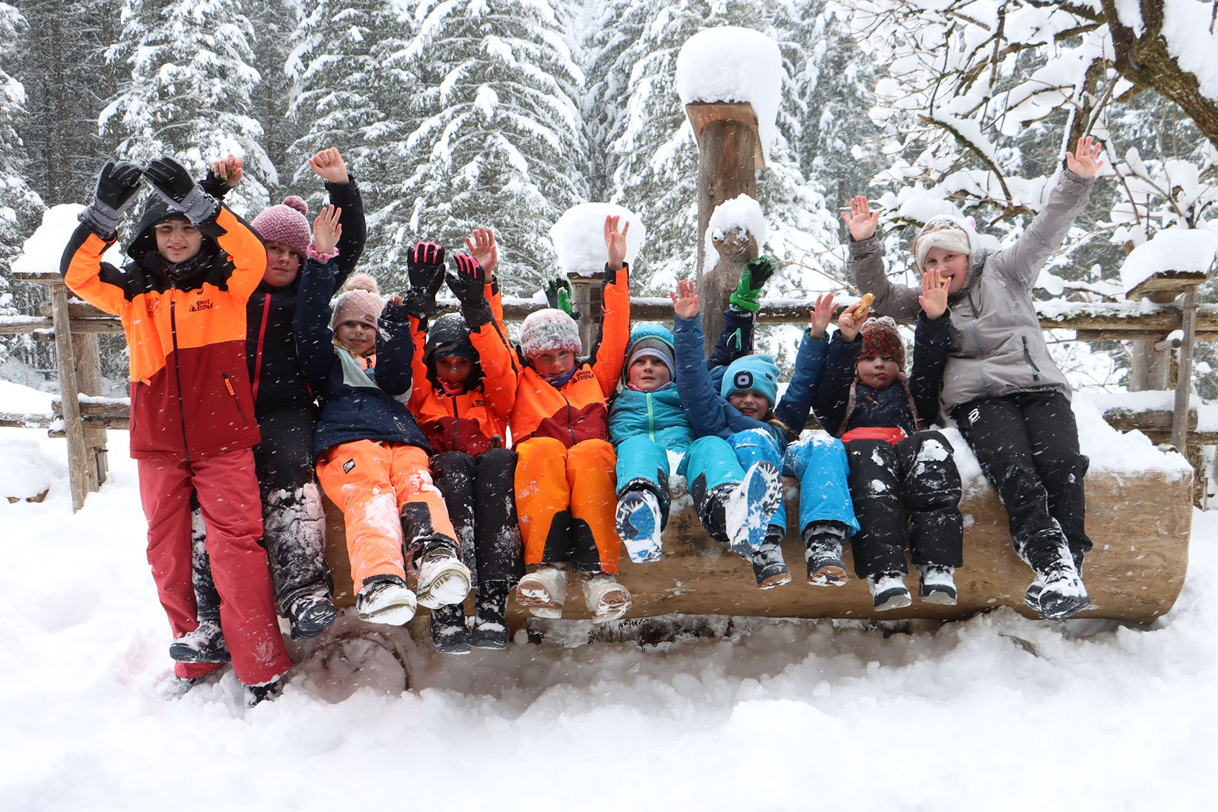 Pressebild: Geiergruppe (c) Nationalpark Berchtesgaden