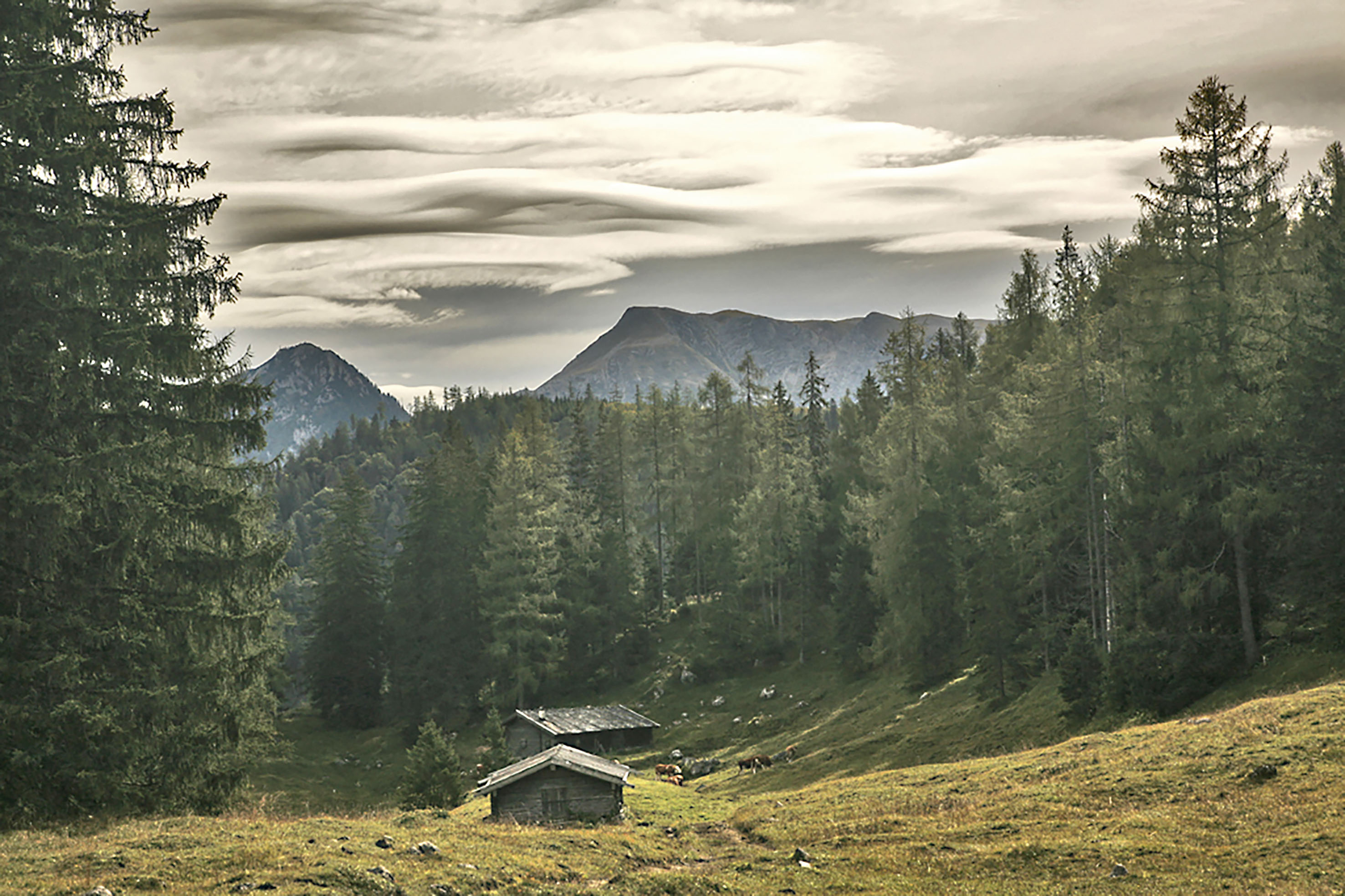 Pressebild: Bildnachweis: Nationalpark Berchtesgaden