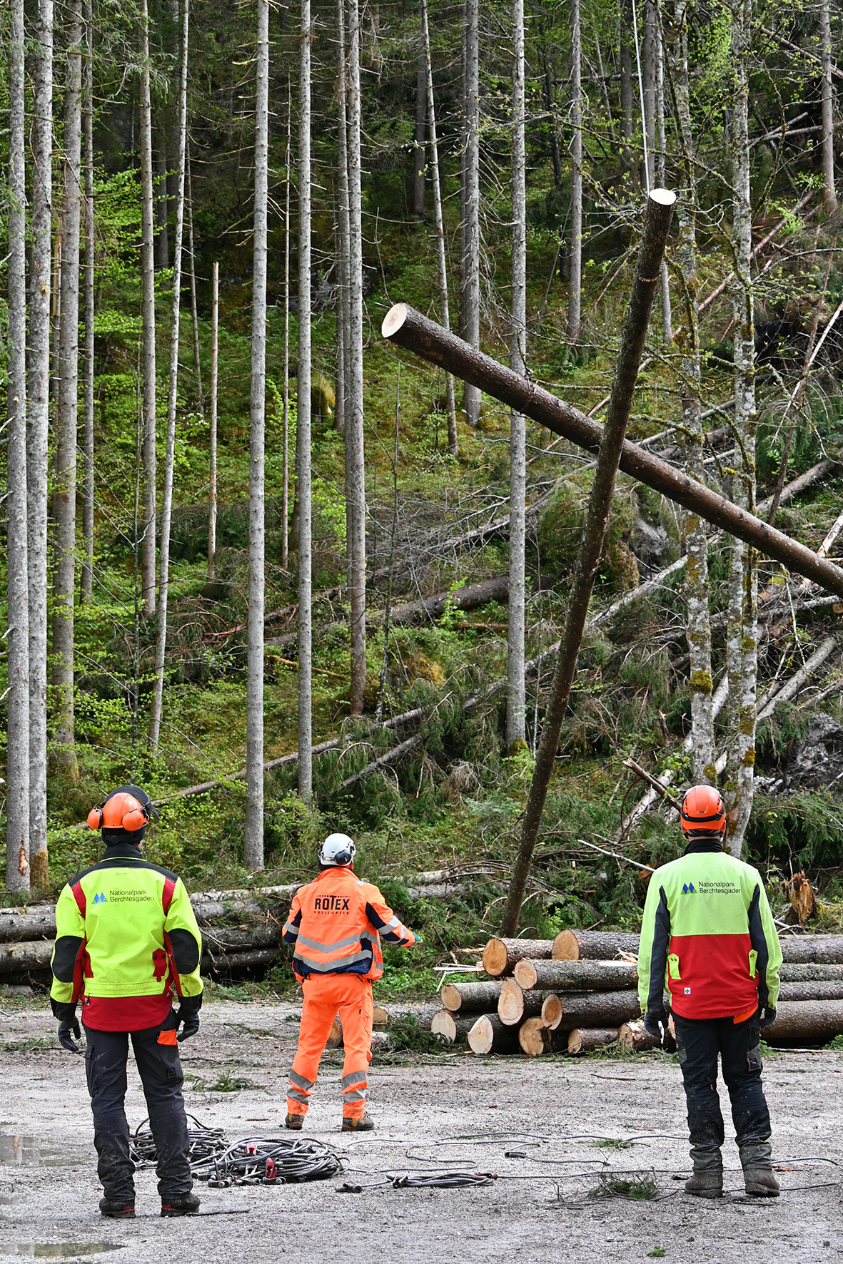 Pressebild: Sturmholz Hintersee