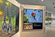 Die Fotoausstellung „Knallbunt… und unsichtbar – Die Wunderwelt der Farben im Tierreich“ von Konrad Wothe zeigt in 41 großformatigen Fotografien die Vielfalt der Natur rund um den Globus.