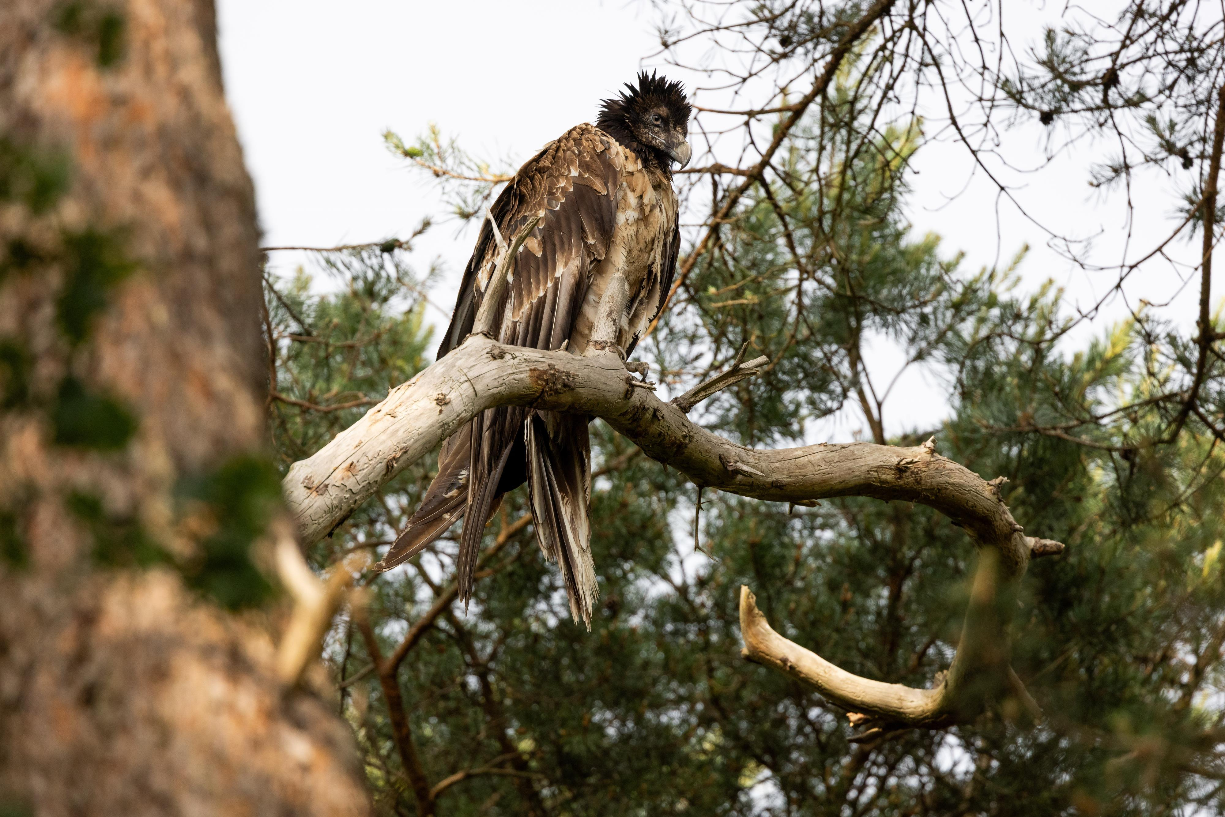 Pressebild: 