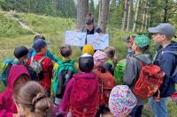 Die Führung zu den Fledermäusen im Nationalpark Berchtesgaden war bei den Kindern und Jugendlichen besonders beliebt. An den 14 kostenfreien Veranstaltungen im Rahmen des Nationalpark-Sommerferienprogramms nahmen insgesamt über 200 Kinder und Jugendliche teil.