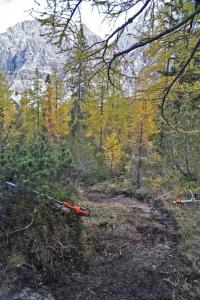 Bis zum Wintereinbruch haben die Waldarbeiter des Nationalpark-Reviers Au-Schapbach intensiv an der Neutrassierung des Steiges im hinteren Wimbachtal gearbeitet. Der bestehende Steig ist seit einem großen Felssturz im August 2025 gesperrt. Die Arbeiten am neuen Steig sollen im Frühsommer 2026 fertiggestellt werden.