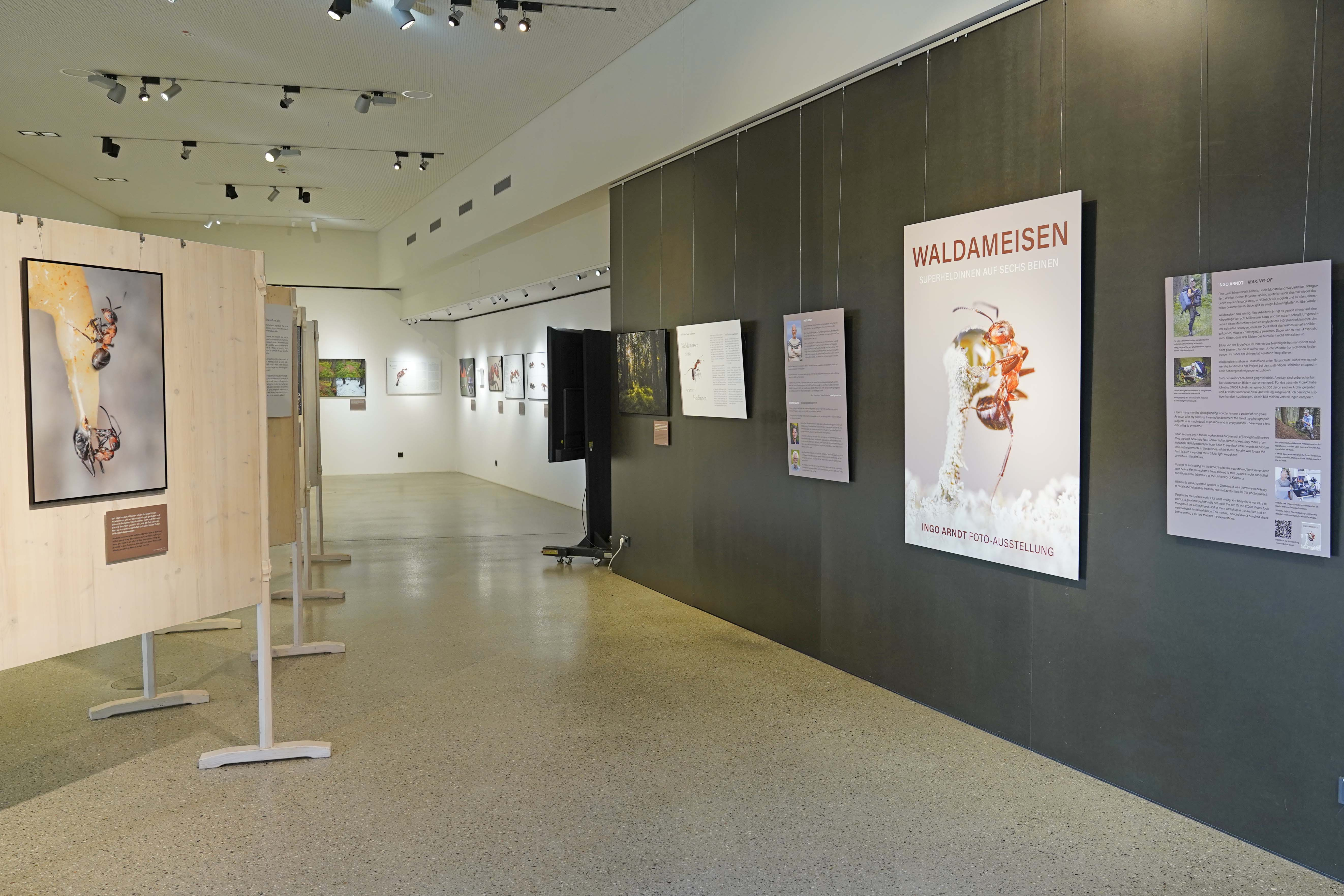 Pressebild: Bildnachweis: Nationalpark Berchtesgaden