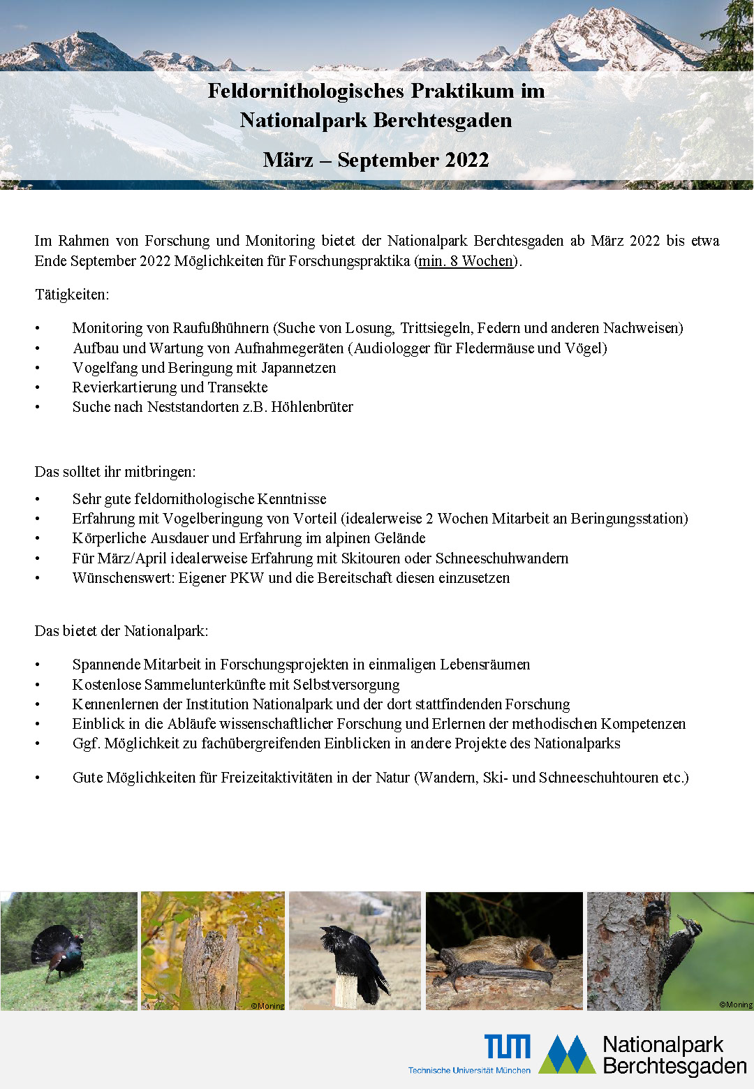 Feldornithologisches Praktikum im Nationalpark Berchtesgaden März - September 2022