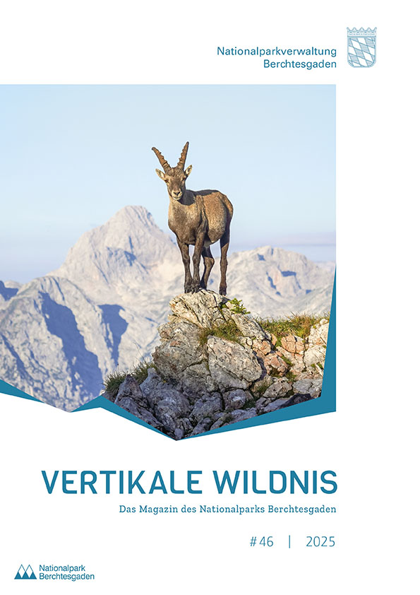 «Vertikale Wildnis» Ausgabe 46