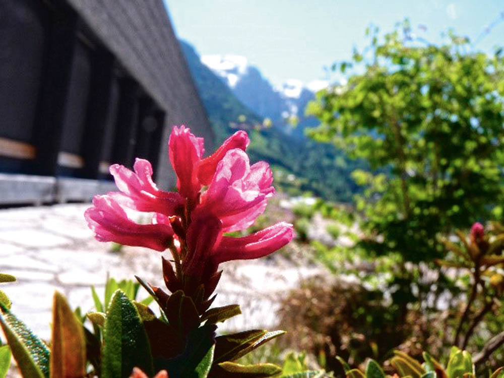 Das höchste Leben – Haus der Berge