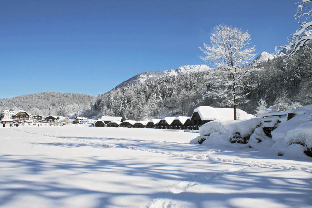 Faszination Königssee – Malerwinkel