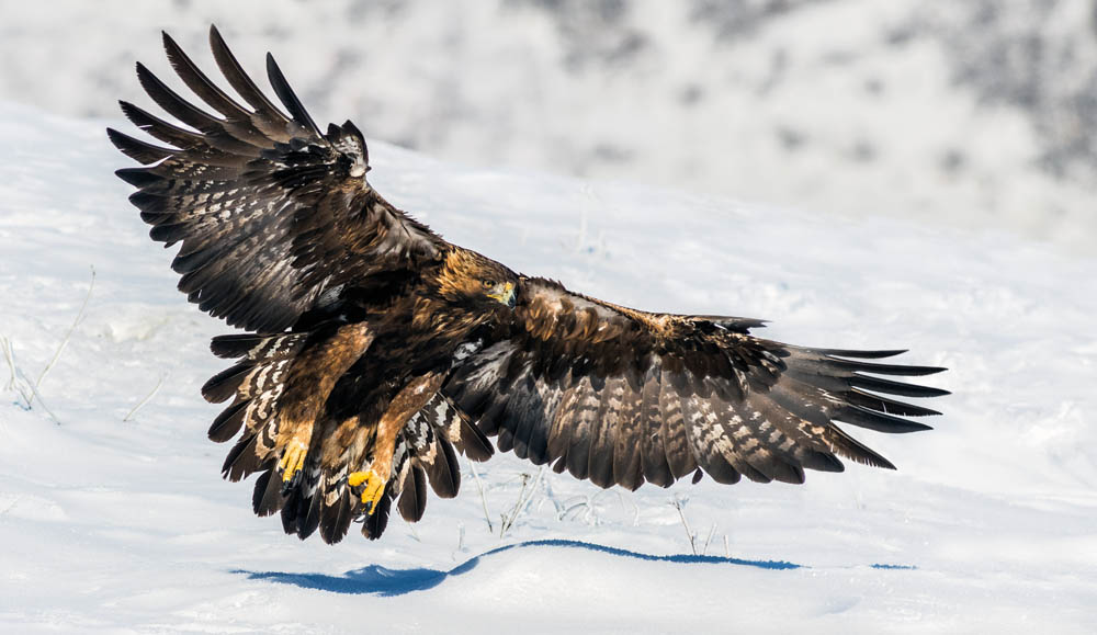 Im Tal der Adler – Klausbachtal