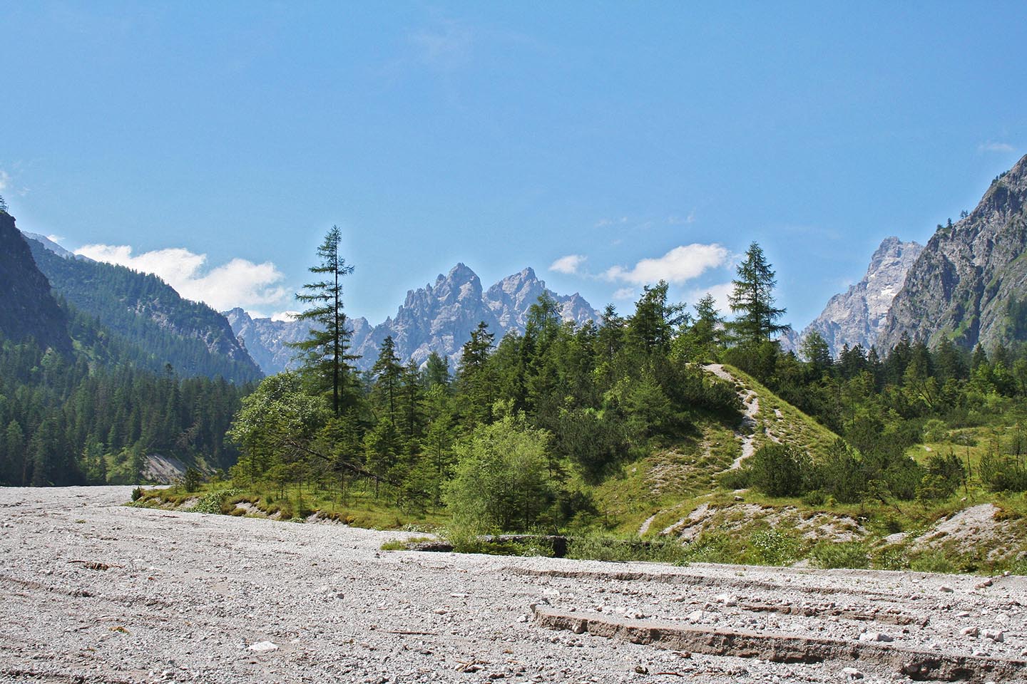 Nationalpark-Forstdienststelle Au-Schapbach